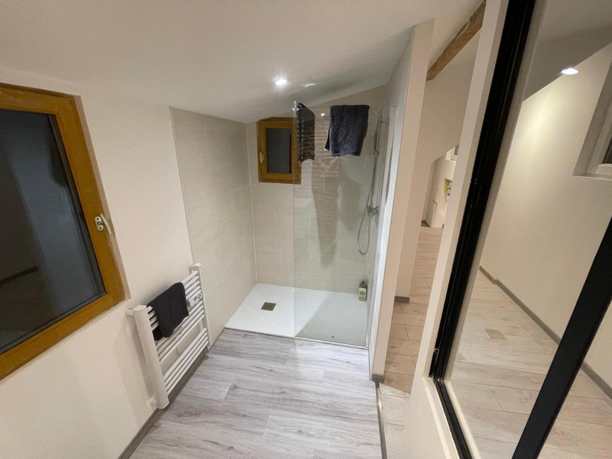 Bellevue Appartement Sous Les Toits Hypercentre Climatise Dole Dış mekan fotoğraf